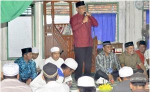hal pulpis
