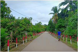 lamandau