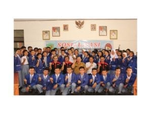 pulpis