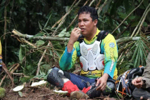 lamandau