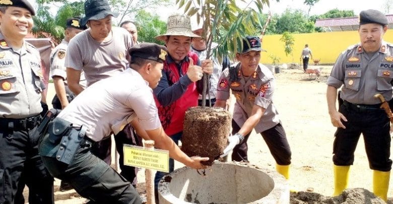 penghijauan (2)