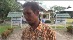 pulpis 1