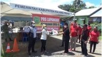 PULPIS 1