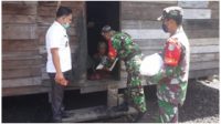 korem 6