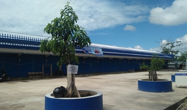 kamu 3