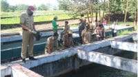 lamandau 1