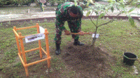 korem 3