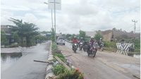 lamandau