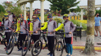 gowes