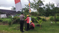 pasang bendera
