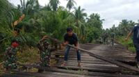 darma 6