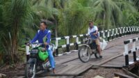 IMG-20201019-WA0036