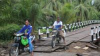 IMG-20201026-WA0011