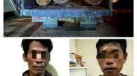 PELAKU ILEGAL LOGGING