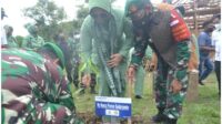 korem 7