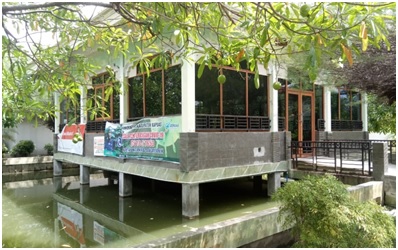 kapuas 2