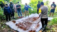 PEMBONGKARAN KUBUR RITO