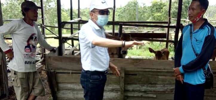 BERSAMA PETERNAK SAPI
