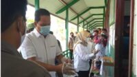 lamandau 2