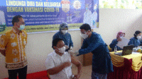 pulpis1