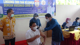 pulpis1