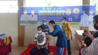 pulpis2