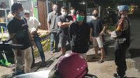 warta 31 3