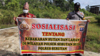 warta4
