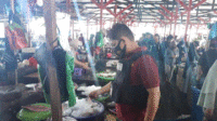 28 warta 4