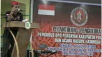 pulpis