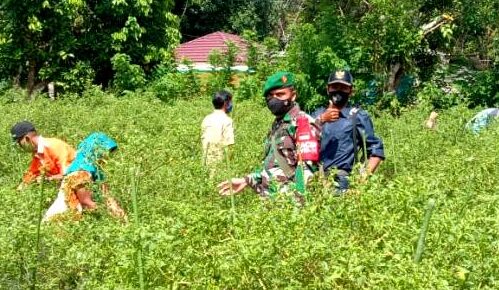 BINA POKTAN DESA TRAHEAN