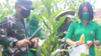 IMG-20210520-WA0064