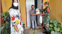 lamandau 2
