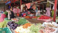 IMG-20210601-WA0042
