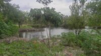 IMG-20210606-WA0104