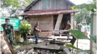 lamandau 1