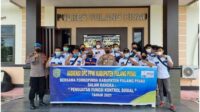pulpis