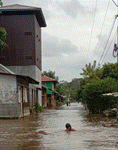 10-10 foto katingan 2