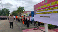 02-11 foto Pulpis 2