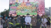 lamandau 3