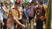 lamandau 6