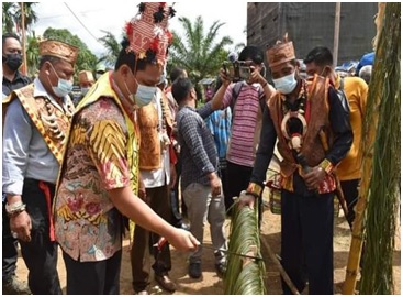 lamandau 6