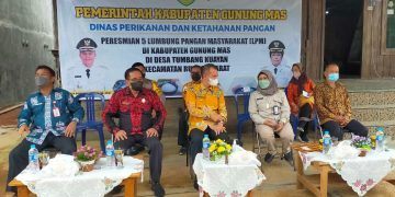 IMG-20220115-WA0003