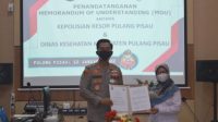 pulpis