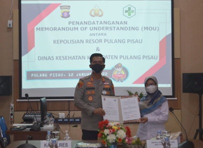 pulpis