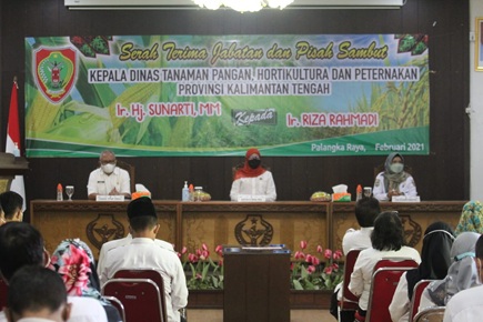 kalteng