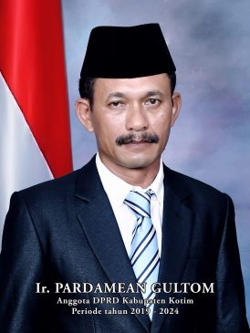 Ir-PARDAMEAN-GULTOM-274x365