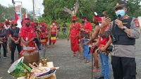 pulpis