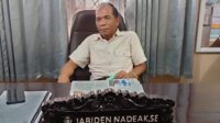 jabidien nadeak