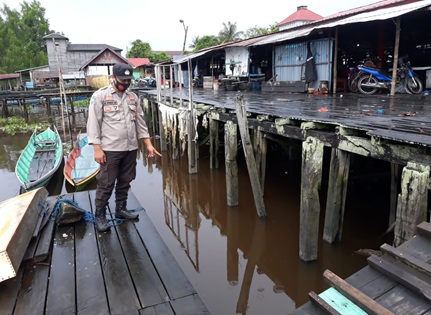 warta 5